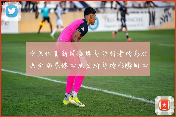 今天体育新闻黄蜂与步行者精彩对决全场录像回放分析与精彩瞬间回顾